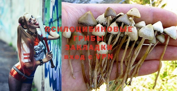 гидропоника Богородск